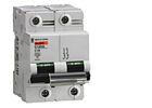 Electronic Module